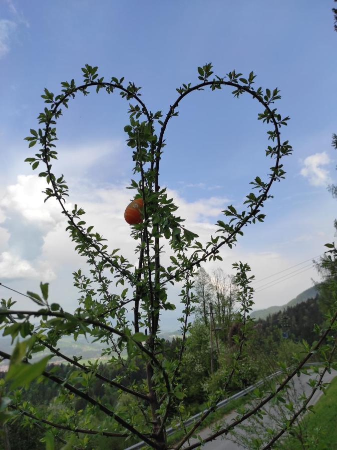 Bed and Breakfast Smucarska Koca Kotlje Экстерьер фото